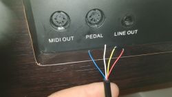 Podłączenie pedału wtyczki DIN 5 do pianina TG8815