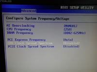 Co poustawiać w BIOSIE żeby wykorzystać procesor w 100% ?