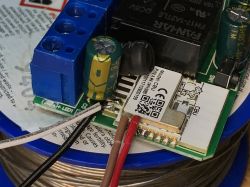 Close-up of the interior of the WSM16-W1 module with connected wires.