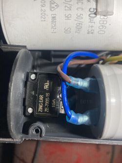 Podzespół elektryczny z czarnym przekaźnikiem Zing Ear i podłączonymi przewodami.