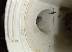 Samsung WD70K5410OW/EO - ledwo widoczny (chyba) kabelek w kanale obudowy filtra.
