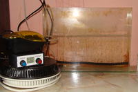 Wytrawiarka na PIC16F1503 z MCP9700 Wytrawiarka na PIC16F1503 z MCP9700