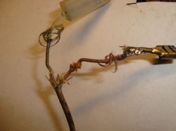 Gdzie kupić termoparę i wyłącznik termiczny do JEM ZR12-DMX?