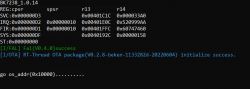 Screenshot of system startup on BK7238 microcontroller