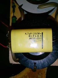 Kolumny tonsil ZG25C - odnowa