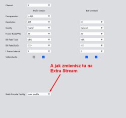 Zrzut ekranu ustawień strumienia wideo z zaznaczonym polem Static Encode Config