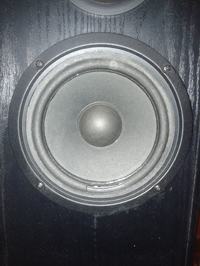 Magnat Art 145 080 - Poszukuję głośnika niskotonowego