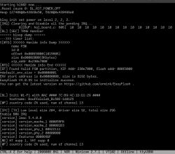 Screenshot of a terminal showing system and Wi-Fi initialization details on a device.