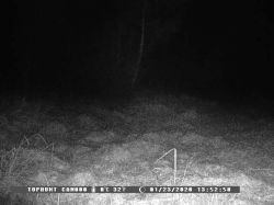 Denver WCM-8010 Camera Trap: Troubleshooting MMS & Email Issues, Activation Codes & Setup