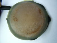 Ultrasonic Cleaner model: CD-7810A - myjka ultradźwiękowa spalone elementy...