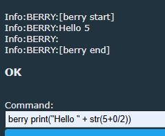 Screenshot of a console with messages and a command input field, featuring a Berry language command.