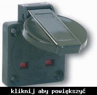 Identify Nest in Picture: Suitable Plug for 12V Socket with Flat Angled Pins in Generator