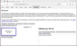 LittleFS file system interface on a webpage.