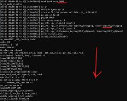 Console Screenshot of Device Boot Logs Screenshot of a console with device boot logs.