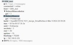 Screenshot of MQTT Results Showing Reboot Reason Screenshot of MQTT results showing reboot details.