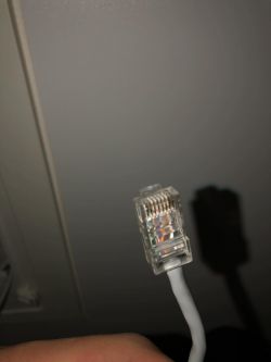 Zbliżenie na biały kabel Ethernet z przezroczystą końcówką RJ-45.