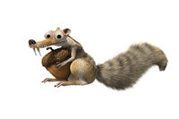 Nietypowy powód awarii - antena wypełniona żołędziami.