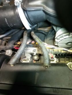 Poszukuje schematu podciśnienia w Opel Corsa C 1.2 2003