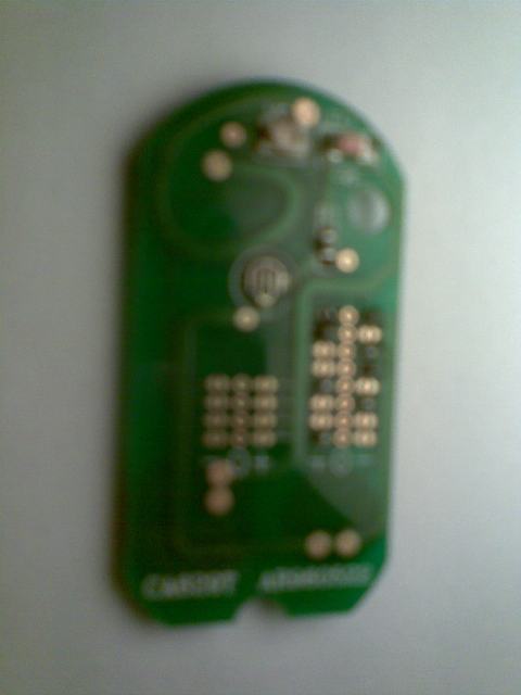 American Legend small 9218