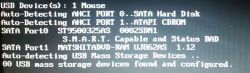 Ekran startowy BIOS z informacją o wykrytych urządzeniach SATA i USB.