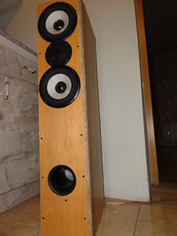 Tonsil GDN 15/40/5 + Vifa DX25TG - moje pierwsze DIY