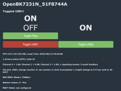 [BK7231N/BK7231T/CB2S] Tuya LSPA2 Wi-Fi Smart Plug 16A ЕС AU UK + 2.1A Dual independent USB