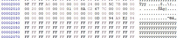 Screenshot showing a section of a file opened in a hex editor.