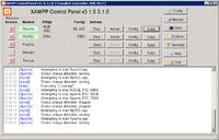 Windows SBS - Przekierowanie DNS na strone www w innej lokalizacji