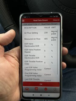 Citroen Berlingo 1.6hdi 75km 2008r - Błąd p0401, przepływomierz Hella, EGR, odczyt 420mg