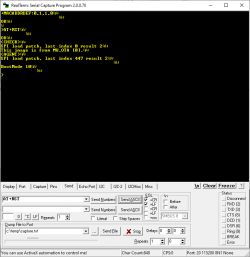 Screenshot of RealTerm program with extended boot log.