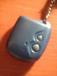 Co to za alarm? Czy zna ktoś ten model?