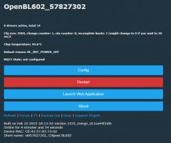 Control panel for the OpenBL602_57827302 device with options for configuration, restart, and web application launch.