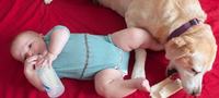Exmobaby - ubranka stale monitorujące stan niemowlęcia