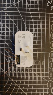 TreatLife Module with Soldered Connection TreatLife smart plug module with soldered wires.