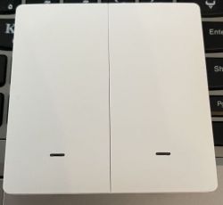 Problem to flash and work with Moes 2 gang wall switch(WIFI+RF433)