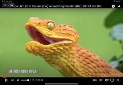 Dlaczego nie polecam produktów Apple i aktualizacji