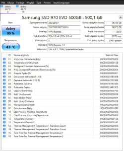 Zrzut ekranu z CrystalDiskInfo dla dysku SSD Samsung 970 EVO 500GB z kondycją 99%