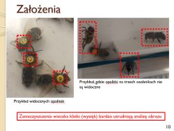 Slajd „Założenia” z fotografiami pszczół i czerwonymi ramkami wykrycia opalitek