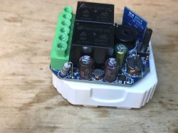 Woox R7279 Relay Module with Buzzer Interior of the Woox R7279 relay module with a buzzer.
