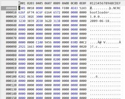 Hex editor screen showing binary data with ASCII interpretation and bootloader info