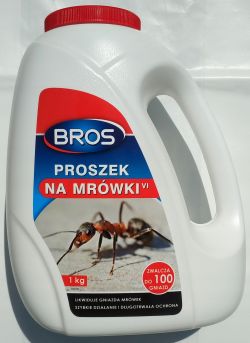 Ants Damaging Polystyrene Insulation in Garage Annex: How to Prevent?