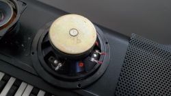 Need to replace speakers on a Elka x 109 organ ..old speakers no labelling