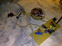 oscyloskop lpt atmega8