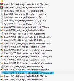 List of various binary files, including a file with the extension .bin.xz.ota selected in a file manager.