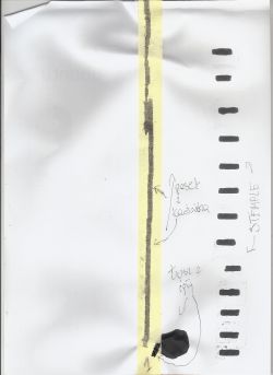 HP Photosmart 2575 napełnianie oryginalnych tuszy-tusz czarny HP 337.Zam HP339.