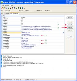 Atmega16 - jak ustawić fusebity w Bascomie zgodnie z mirley.firlej.org?