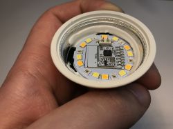 LEDs and electronic circuit inside an LED bulb held in a hand.
