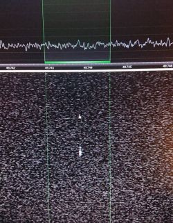 RTL-SDR - an SDR receiver from a cheap DVB-T tuner on a USB connector