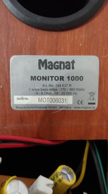 Magnat Monitor - wymiana kondensatorów