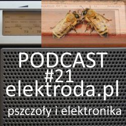 Elektronika i pszczoły - podcast #21